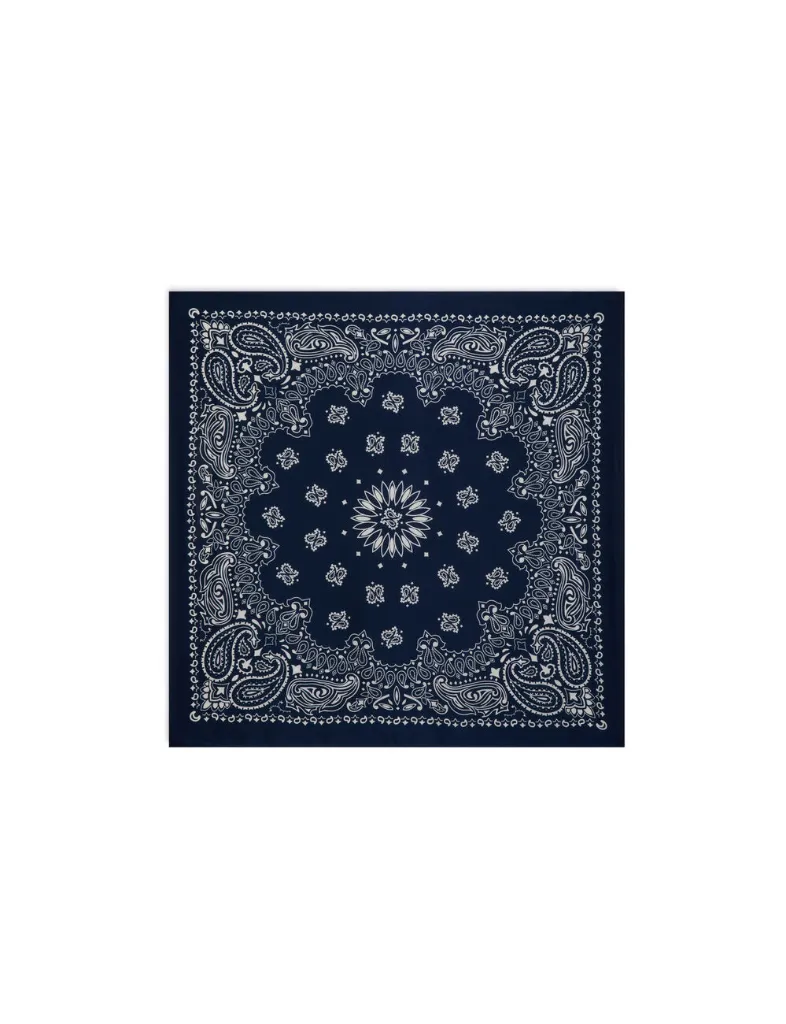 foulard-satine-bleu-marine-femme-vue1-32536311062150987.webp